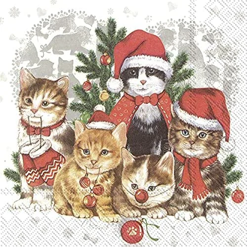 Besuche den Serviettenshop-Store 20 Servietten Katzen in Weihnachtsstimmung, Tiere, Winter, Weihnachten, Tischdeko 33x33cm — Advent und Tisch